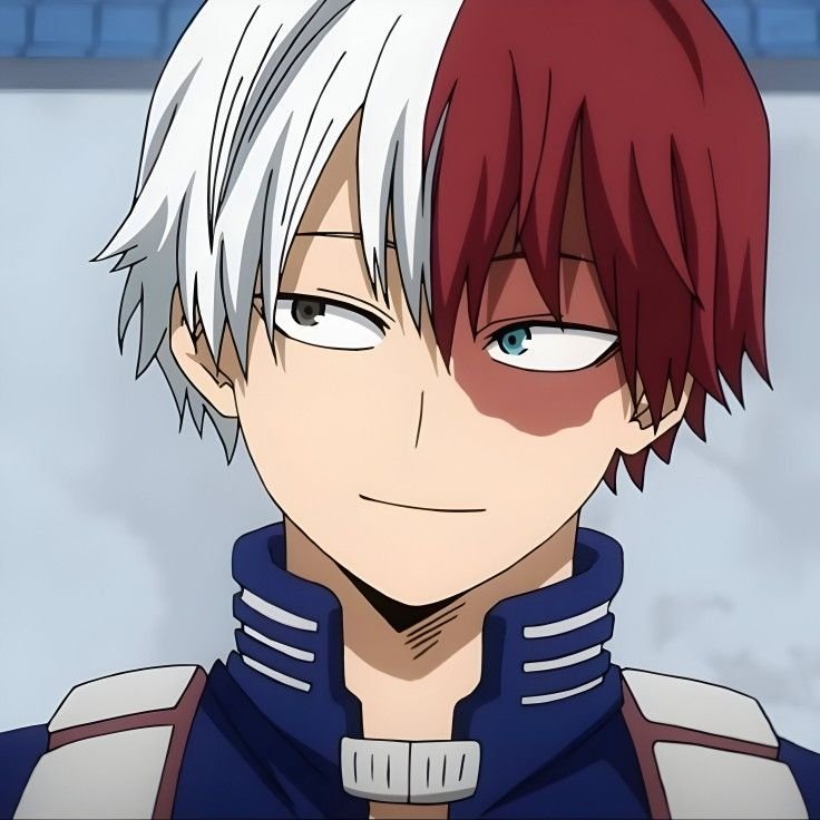 Shoto Todoroki - Shoto